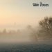 Wilde Flowers (65/68) - The Wilde Flowers