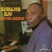 Sunnyland Slim (72) - Sad And Lonesome