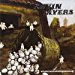 Kevin Ayers - Whatevershebringswesing