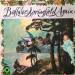 Buffalo Springfield - Buffalo Springfield Again