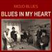 Mojo Blues (2017) - Blues In My Heart