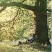 Lennon John & The Plastic Ono Band - John Lennon / Plastic Ono Band