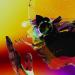Motion Graphics - Motion Graphics