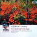 Tchaikovsky, Dvo?ák: Chamber Orchestra Of The St. Petersburg Conservatory, Alexander Titov - Sérénades Pour Cordes