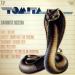 Tomita - Zijn Grootste Successen