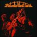 West Leslie (leslie West) - The Leslie West Band