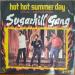 Sugarhill Gang - Hot Hot Summer Day - *