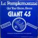 Giant 45 - Get Your Boom,boom