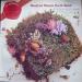 Manfred Mann's Earth Band - The Good Earth