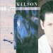 Brian Wilson - Brian Wilson