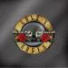 Guns N' Roses - Guns N' Roses Greatest Hits (or, Blanc, Rouge)