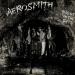 Aerosmith - Night In Ruts