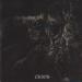 Widespread Disease - Chaos