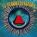 13th Floor Elevators - Rockius Of Levitatum