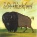 J D Blackfoot - The Song Of Crazy Horse