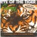 Survivor - Eye Of Tiger