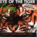 Survivor - Eye Of Tiger