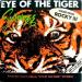 Survivor - Eye Of Tiger