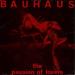 Bauhaus - Passion Of Lovers