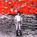 Robert Palmer - Clues