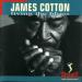 Cotton James (1994) - Living The Blues