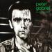 Peter Gabriel - Ein Deutsches Album