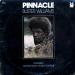 Buster Williams - Pinnacle