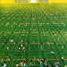 Chris Rea - Tennis By Chris Rea 11 13 15 5 2 Vg+ Vg+