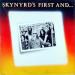 Lynyrd Skynyrd - First And Last