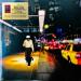 Buena Vista Social Club - Buena Vista Social Club At Carnegie Hall