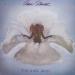 Amii Stuart - Paradise Bird