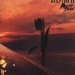Pretty Things - Parachute