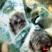 Annegarn Dick (dick Annegarn) - Dick Annegarn