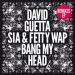 David Guetta - Bang My Head