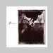 Pixies - Pixies Surfer Rosa