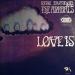 Animals (eric Burdon & The Animals) - Love Is