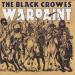 Black Crowes The - Warpaint