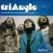 Triangle - Les Brumes De Chatou