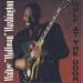 Washington Walter (1991a) - Wolf At The Door