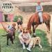 Emma Peters - Dimanche