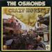 Osmonds - Crazy Horses