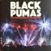 Black Pumas (24) - Live From Brooklyn Paramount