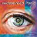 Widespread Panic (2001) - Don't Tell The Band