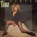 Tina Turner - Private Dancer