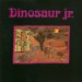 Dinosaur Jr. - Little Fury Things