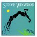 Steve Winwood - Arc Of A Diver